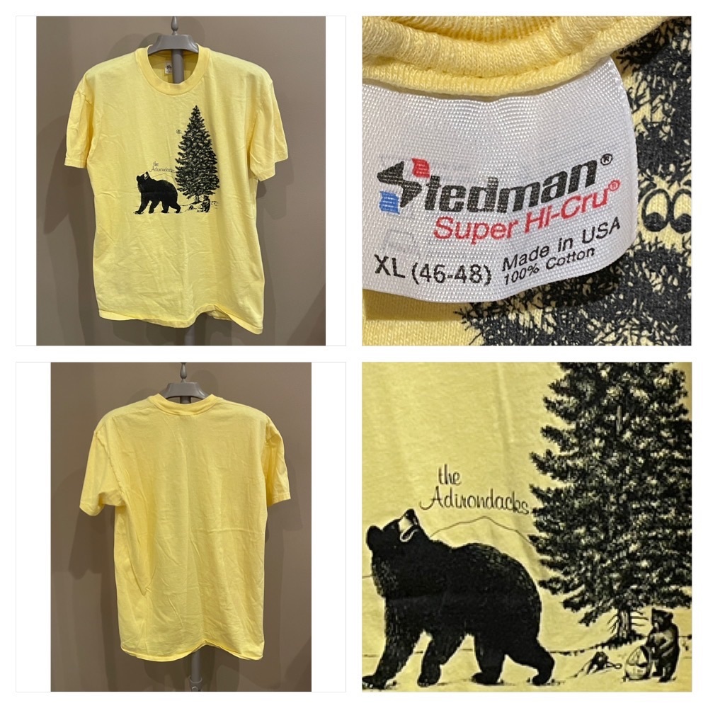 Vintage Adirondacks Tourist Tee